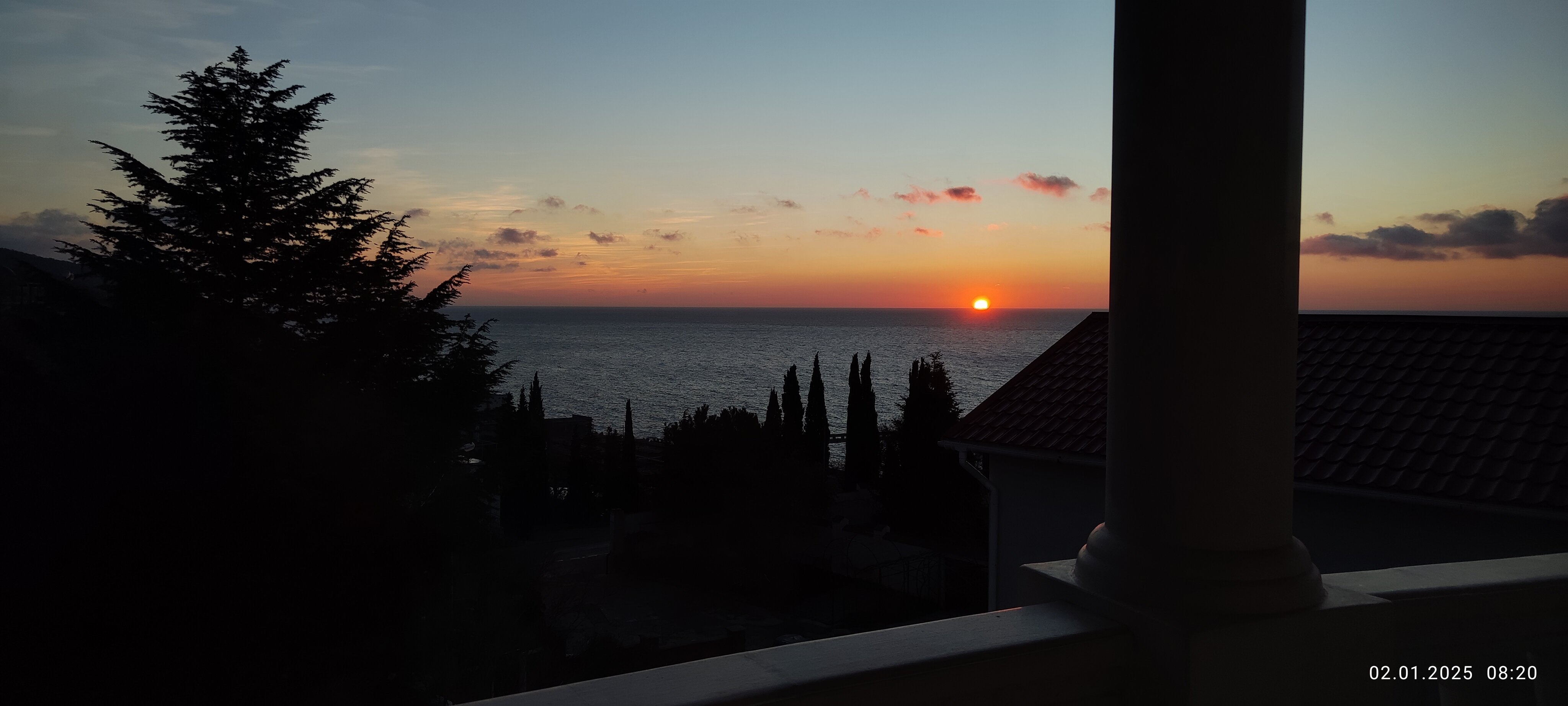 Фото Шафран