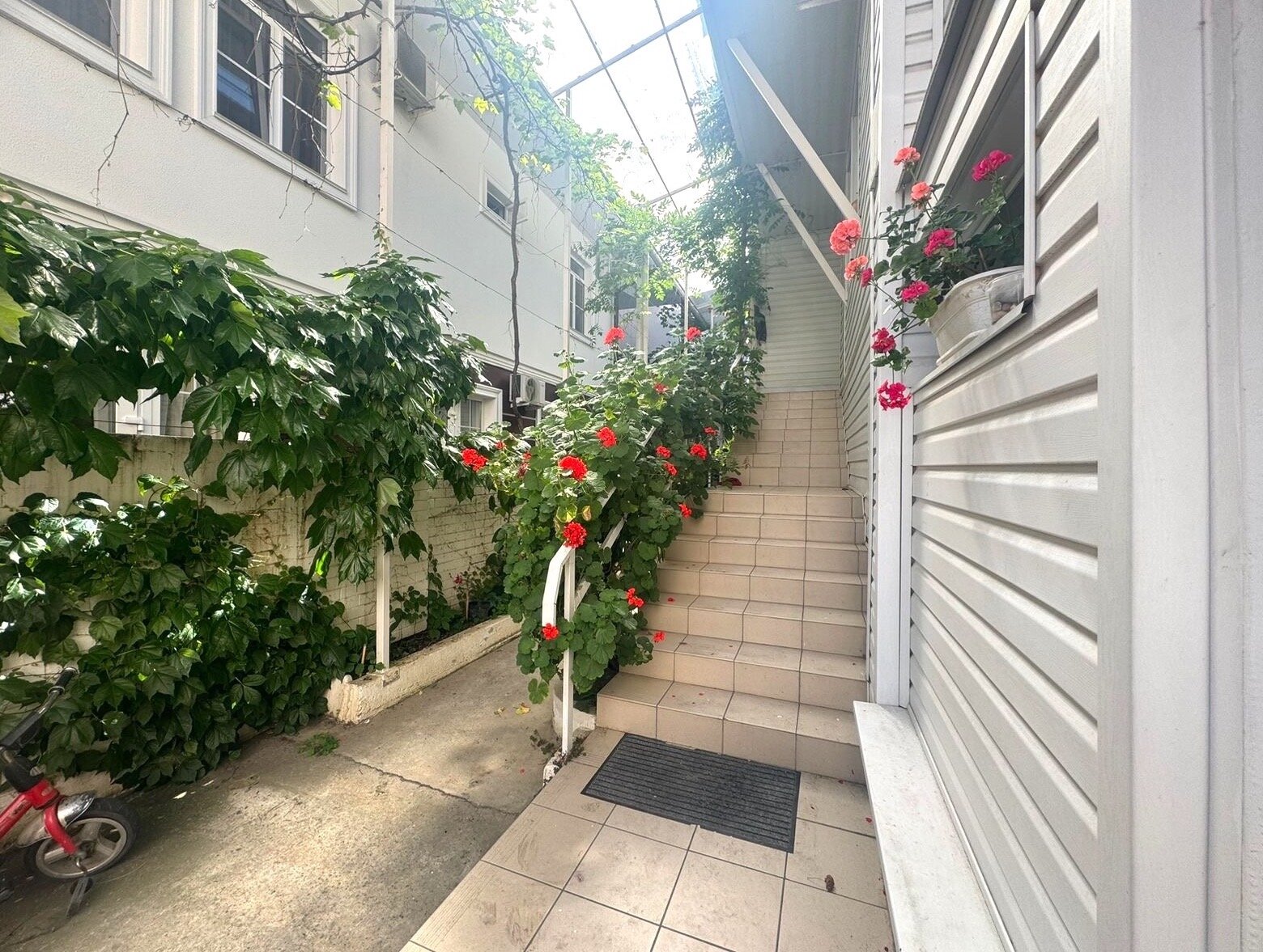 Фото Лазурный