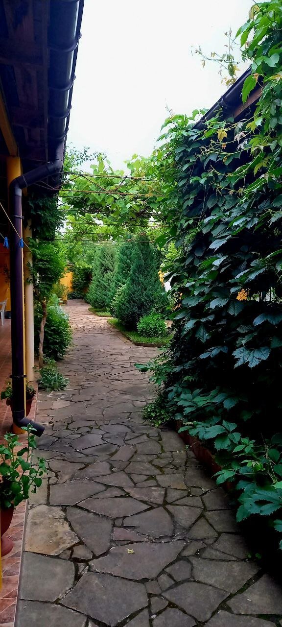 Фото В гостях у моря