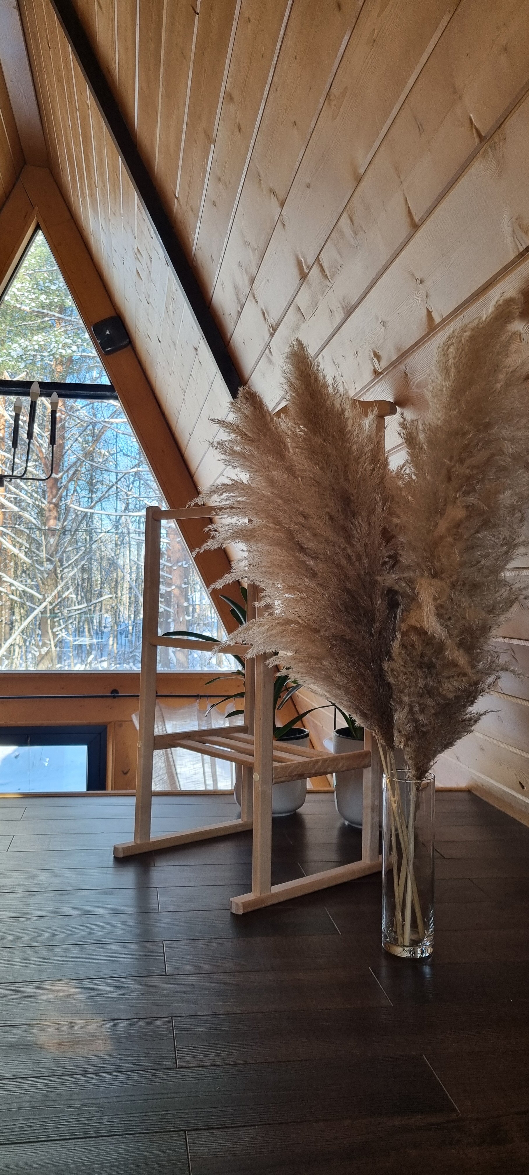 Фото Шишки Парк