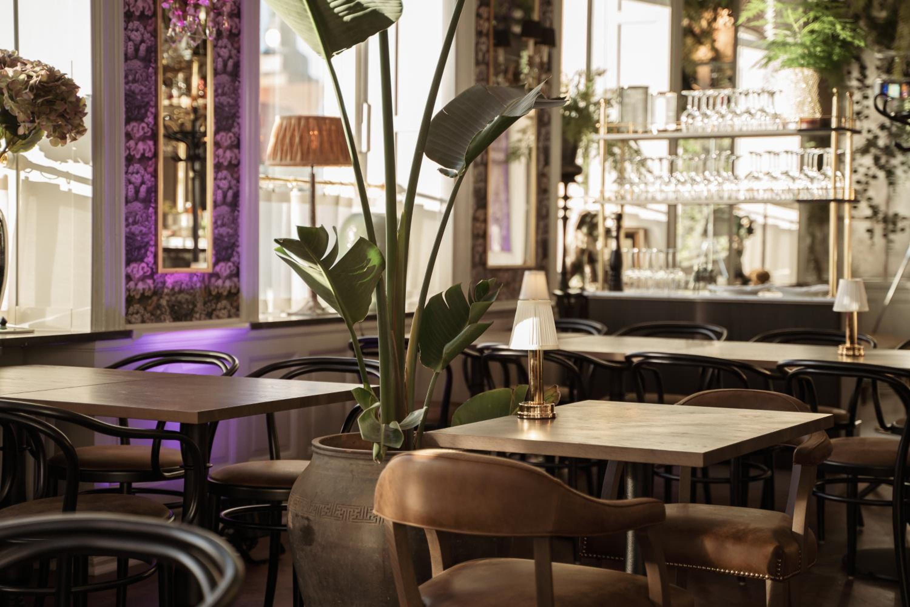 Фото Continental du Sud