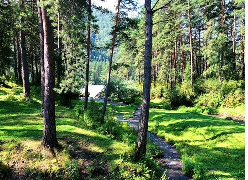 Дом в аренду Усадьба Горный Алтай в Чепоше