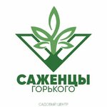 Саженцы Горького (ул. Борчанинова, 13), питомник растений в Перми