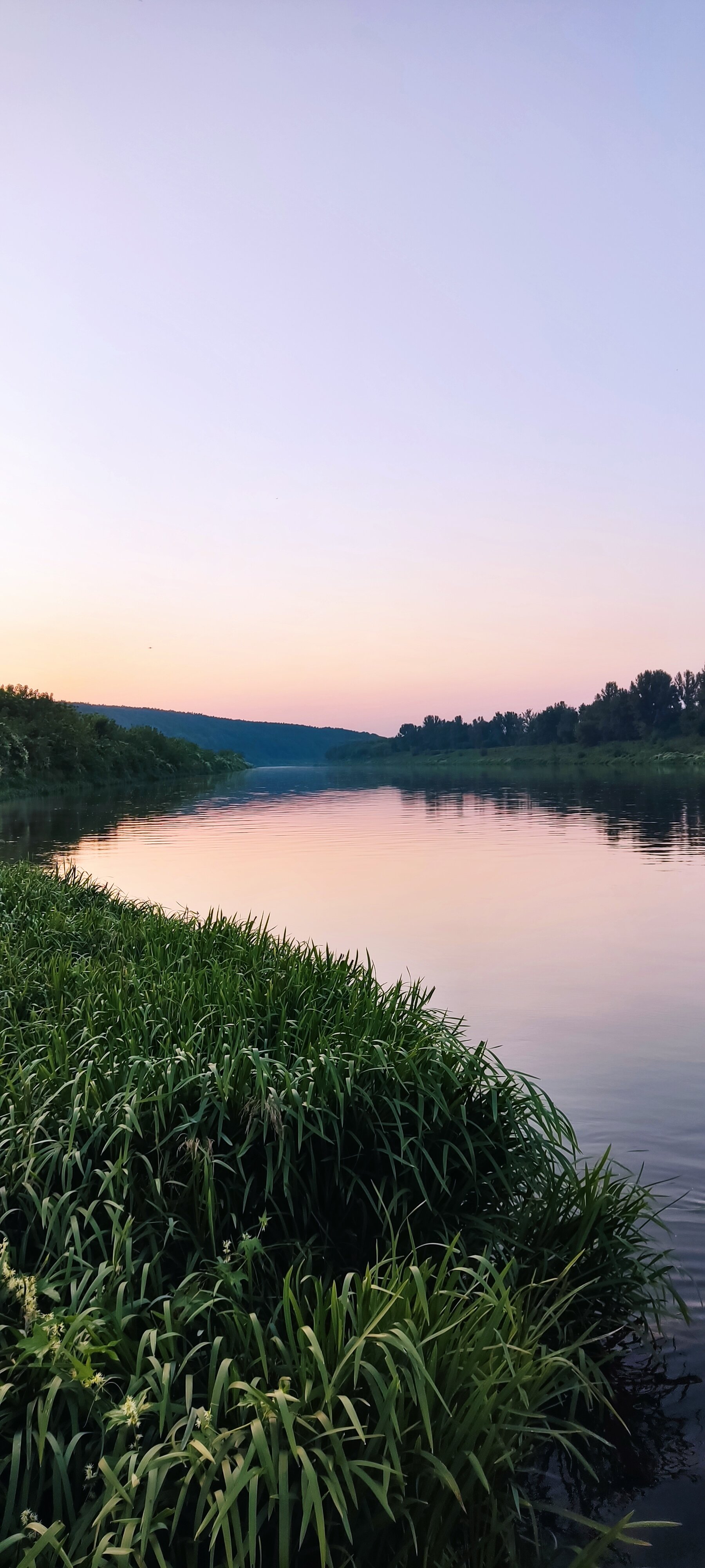Фото Усадьба Плант