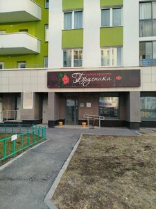 Brusnika (Yekaterinburg, Anatoliya Mekhrentseva Street, 42), beauty salon