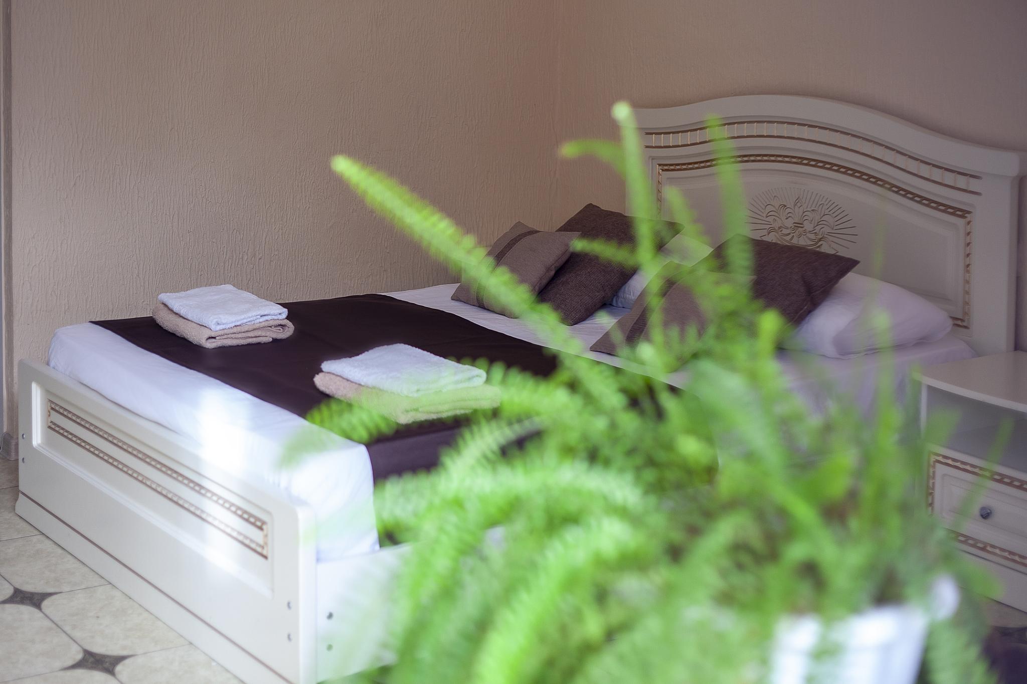 Фото Алоиза