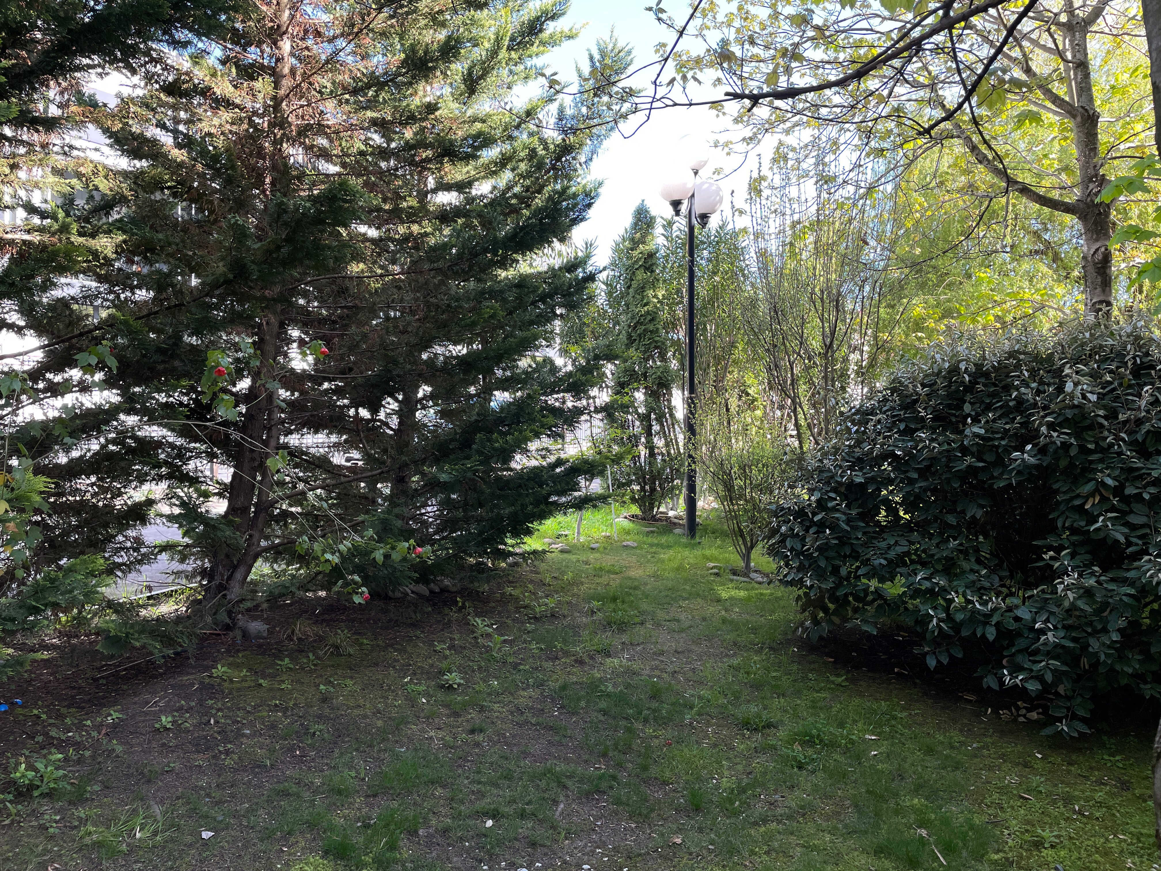 Фото Орхидея Парк