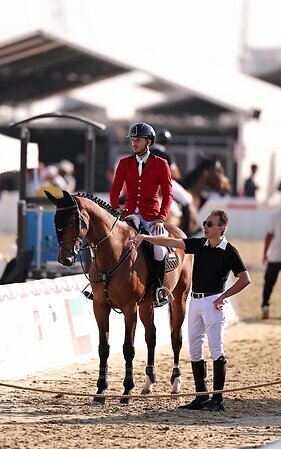 Horse harness Al Maidan, equestrian equipment shop, Ajman, photo