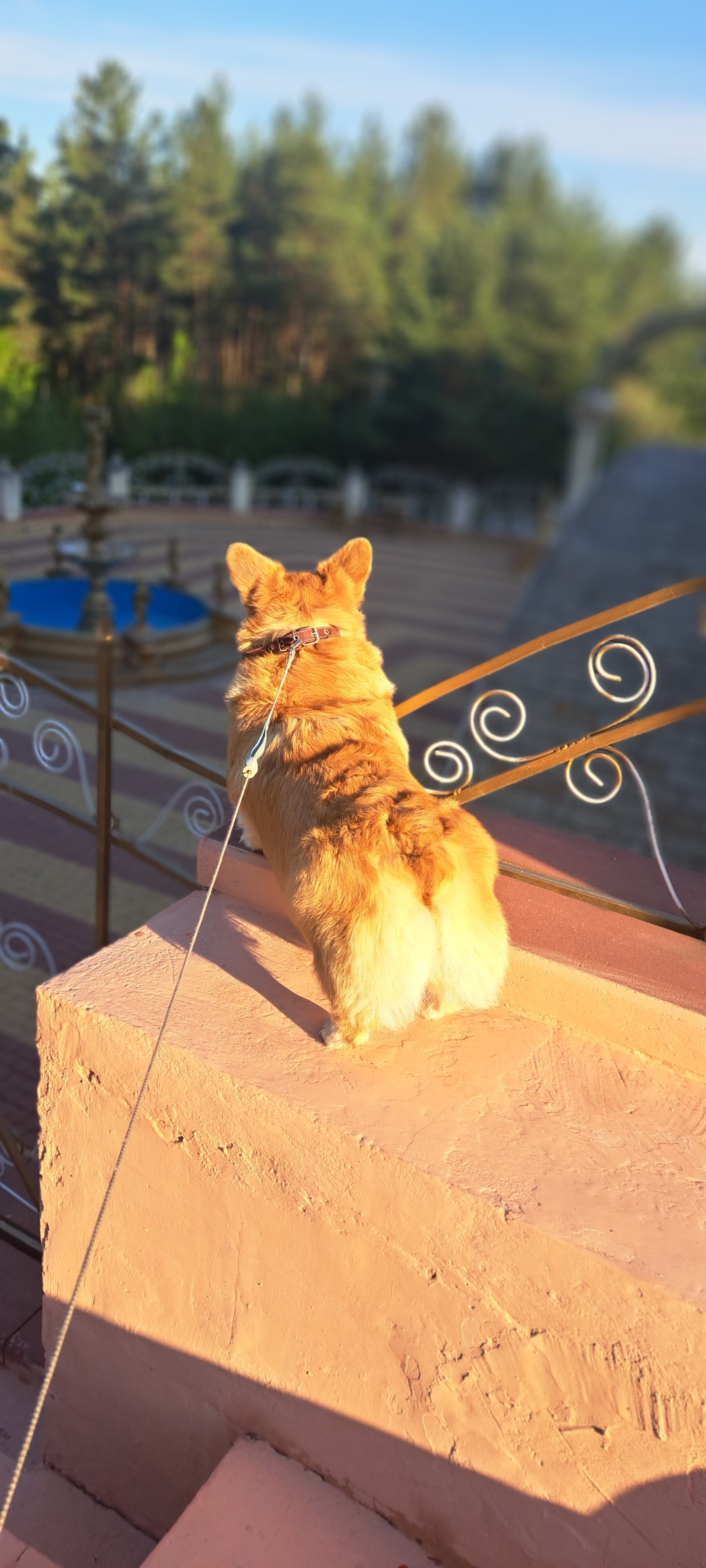 Фото Введенский