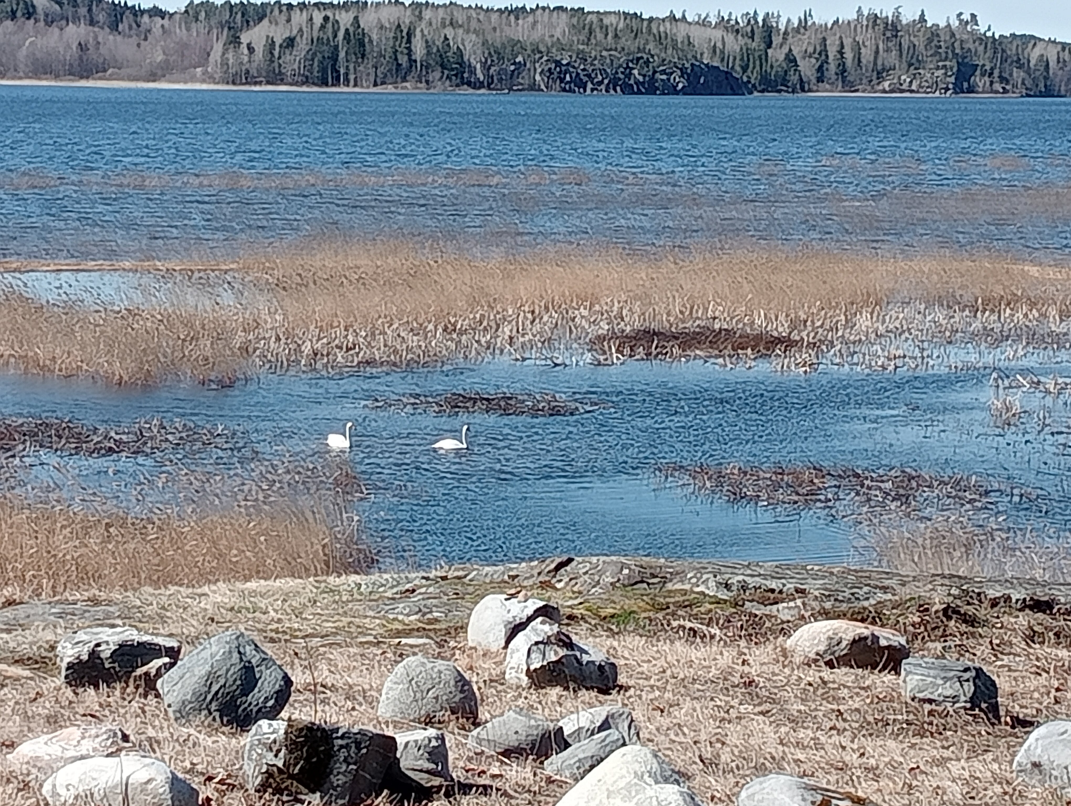 Фото Мункинмяки