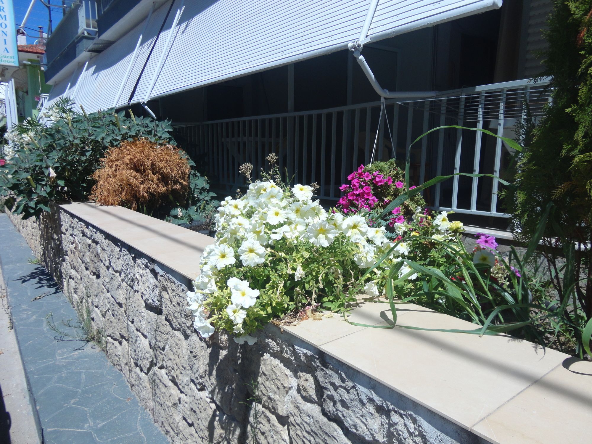 Фото 88669130606