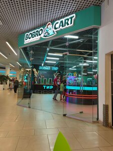 Bobro Cart (ulitsa 25 Sentyabrya, 35А), sports and entertainment center