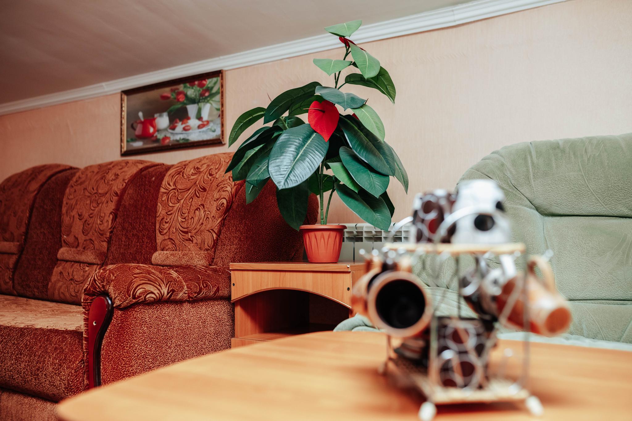 Фото Новинка