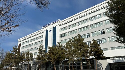 Yalangoch yahudiy gozallari