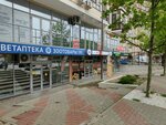 Women's Space (Krymskaya Street, 22к1) ، استوديو اليوغا