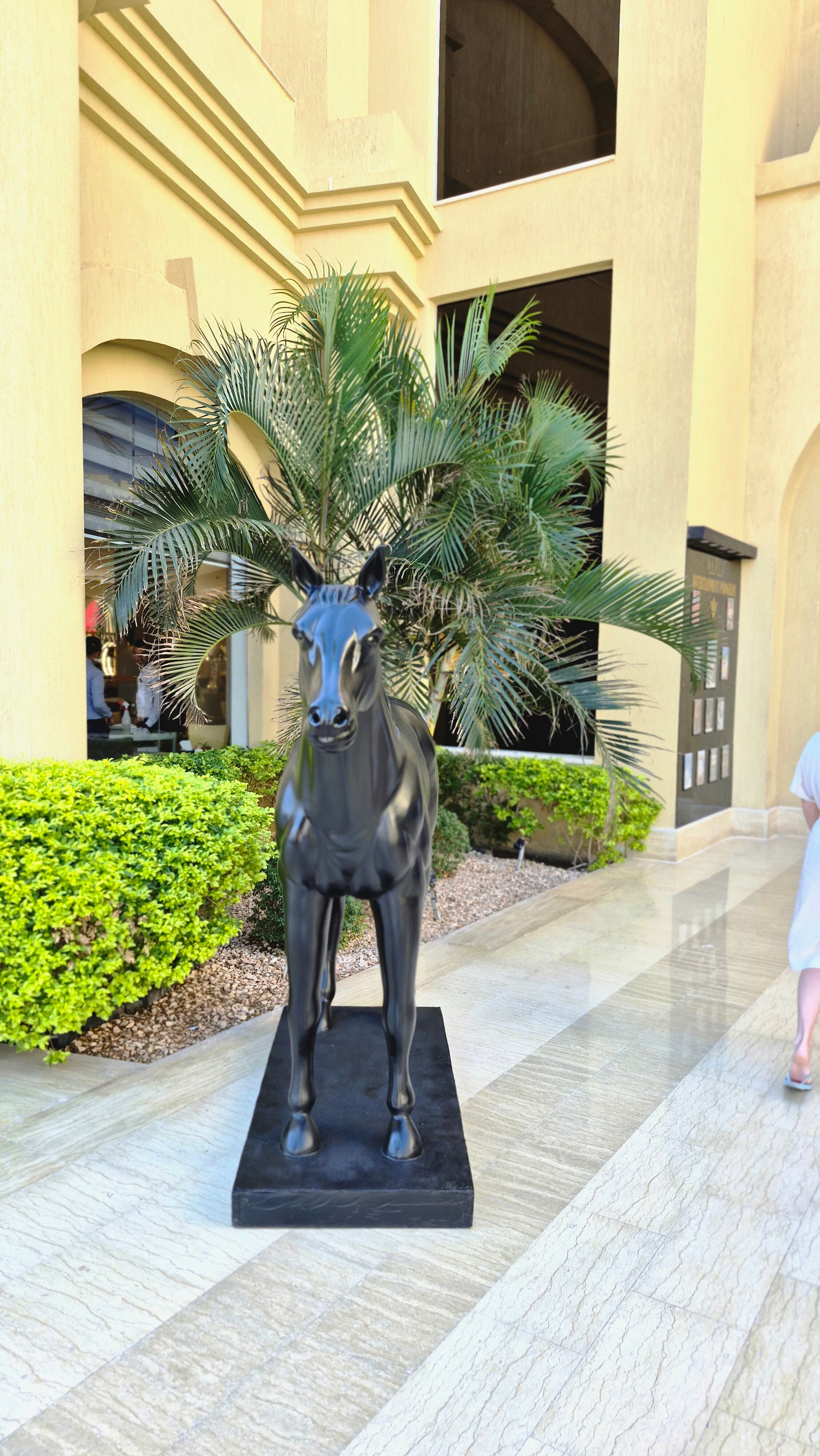 Фото Rixos Sharm El Sheikh