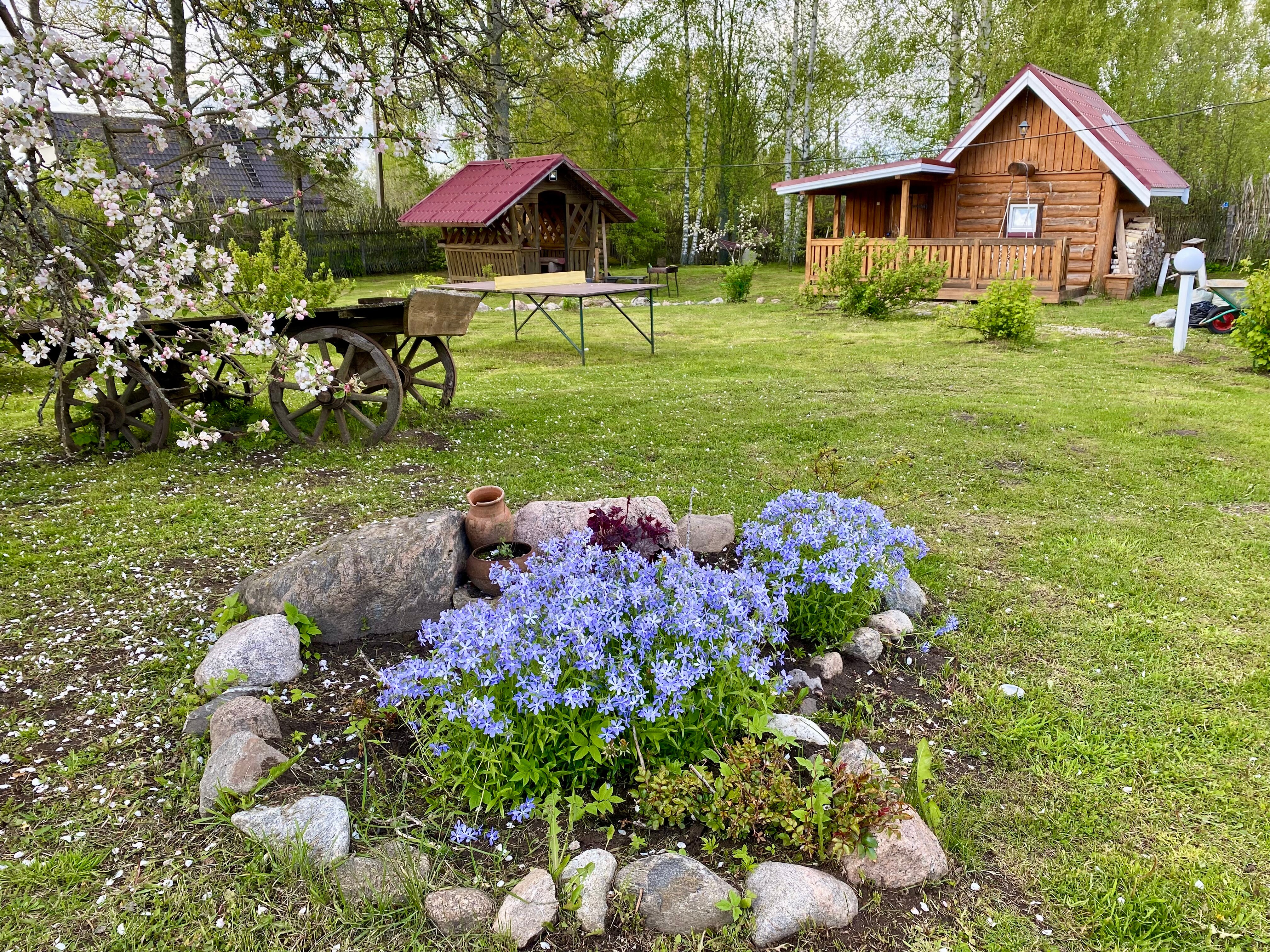 Фото Камин и Пианино