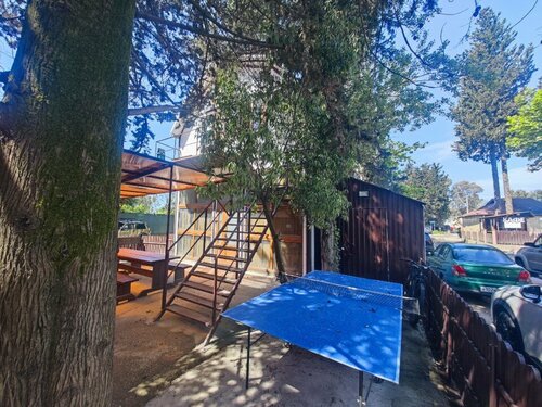 Хостел Zёbra House в Сочи