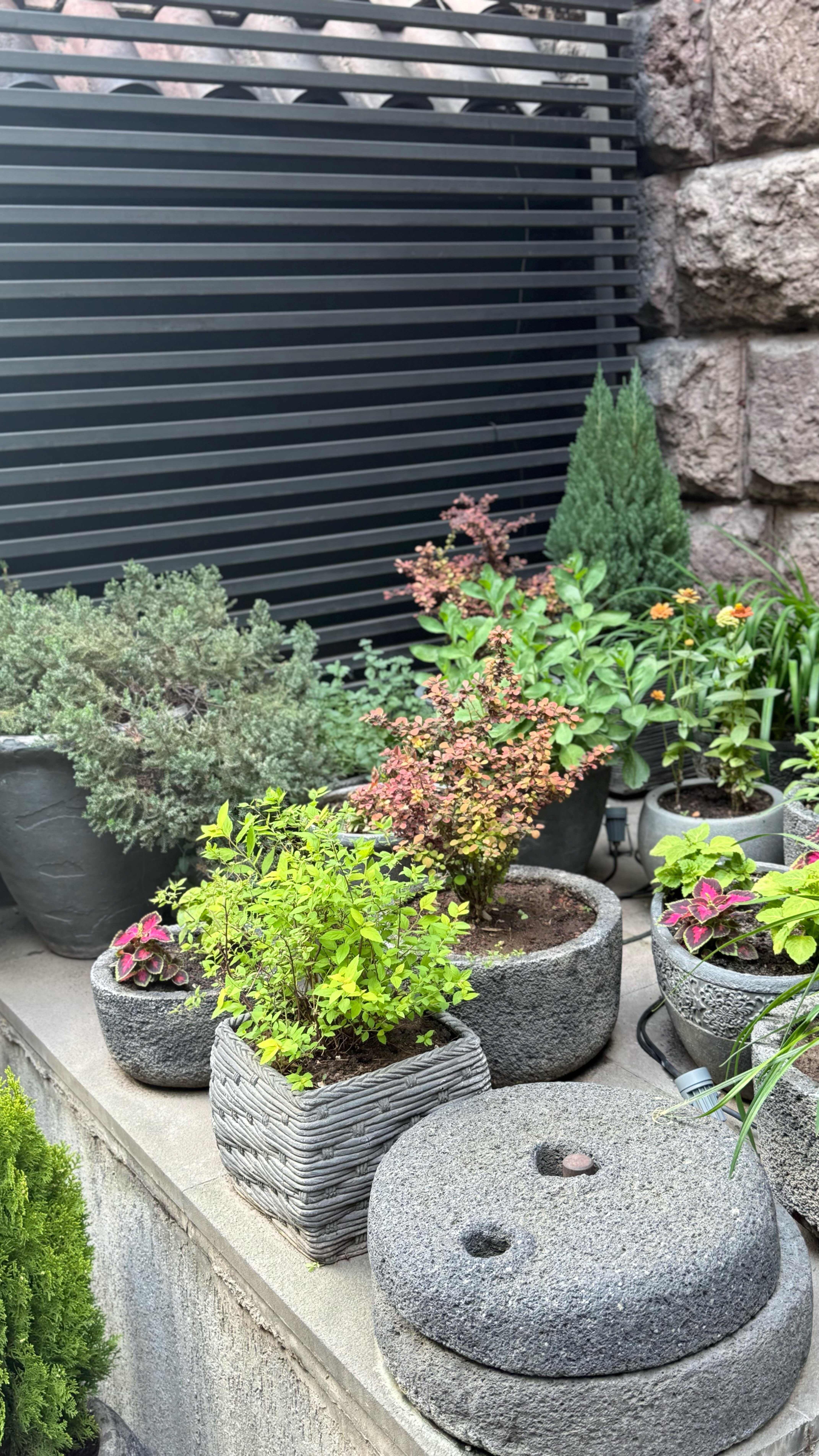 Фото Отель Република Ереван