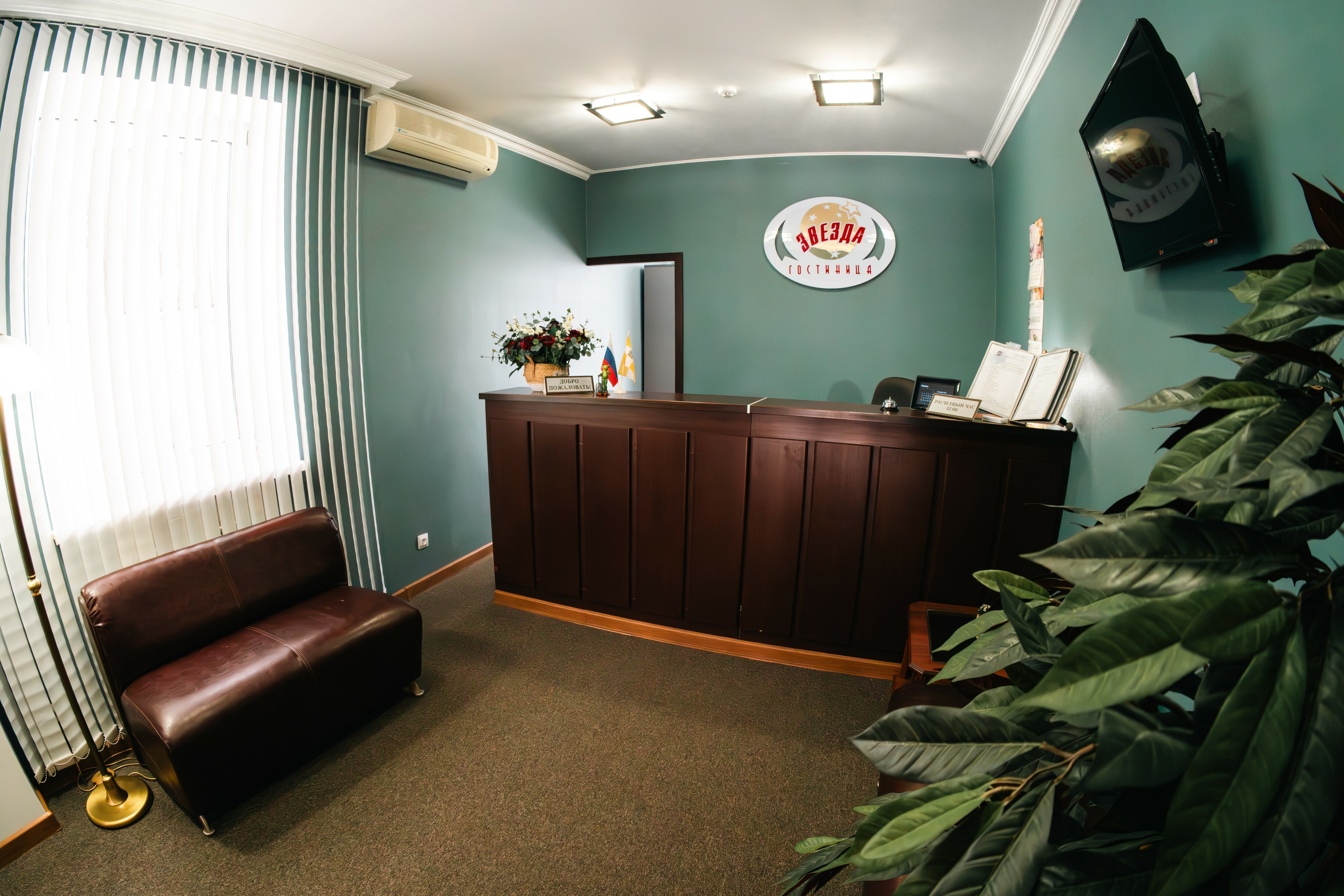 Фото Звезда