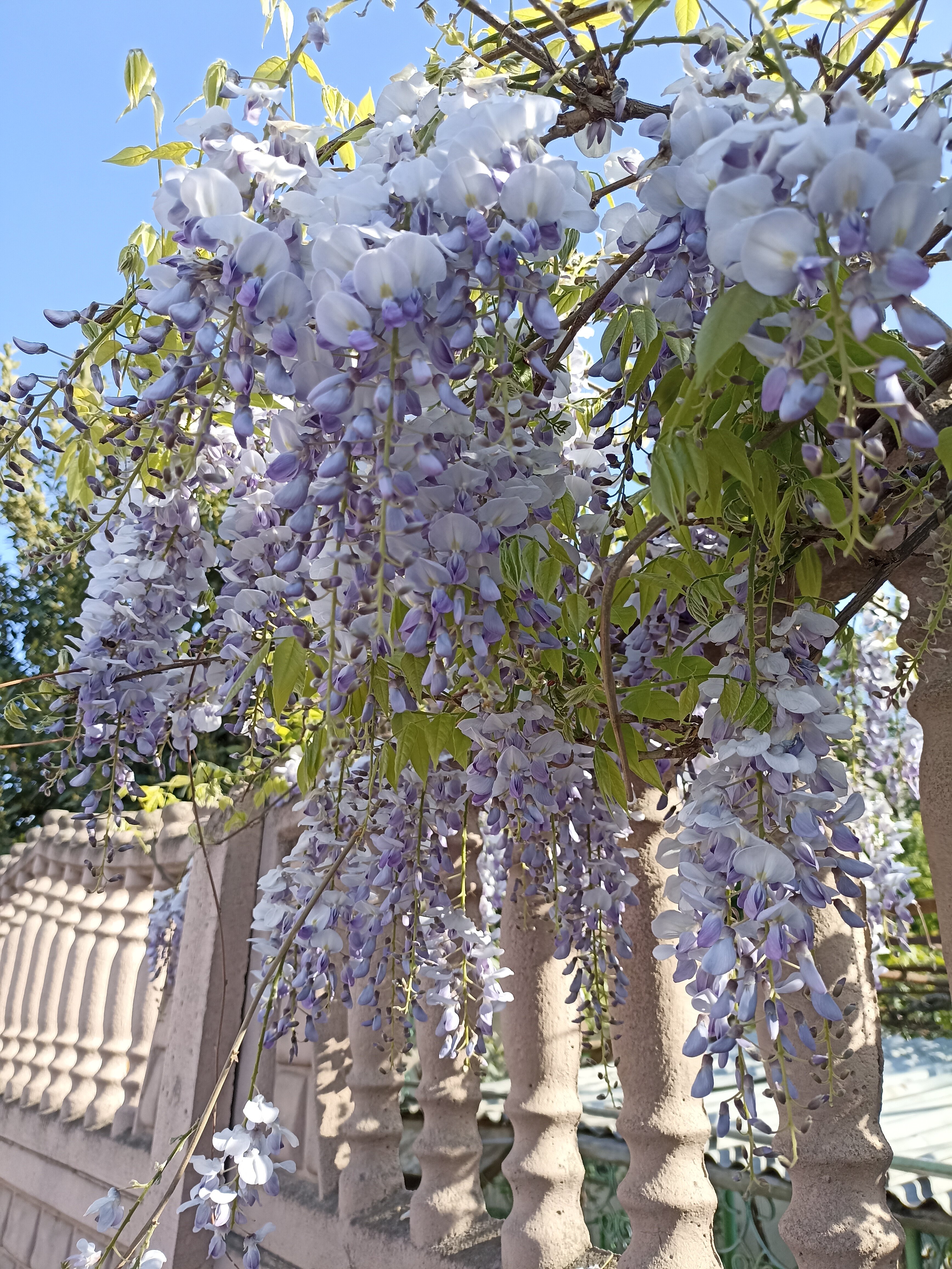 Фото Алушта на ладони