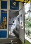 Vitus (rabochiy posyolok Oktyabrskiy, ulitsa 60 let Pobedy, 6), veterinary clinic