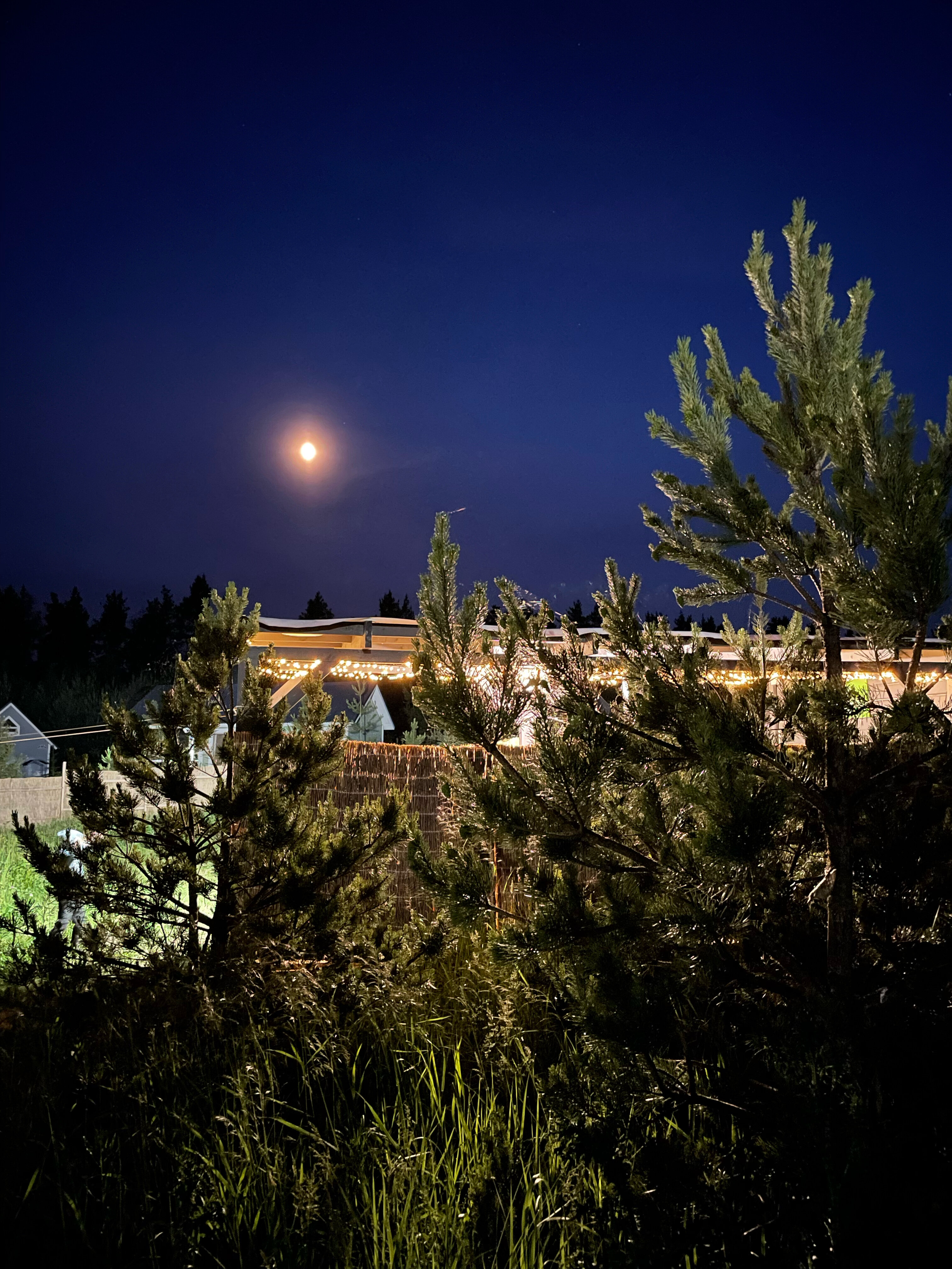 Фото ВМесте