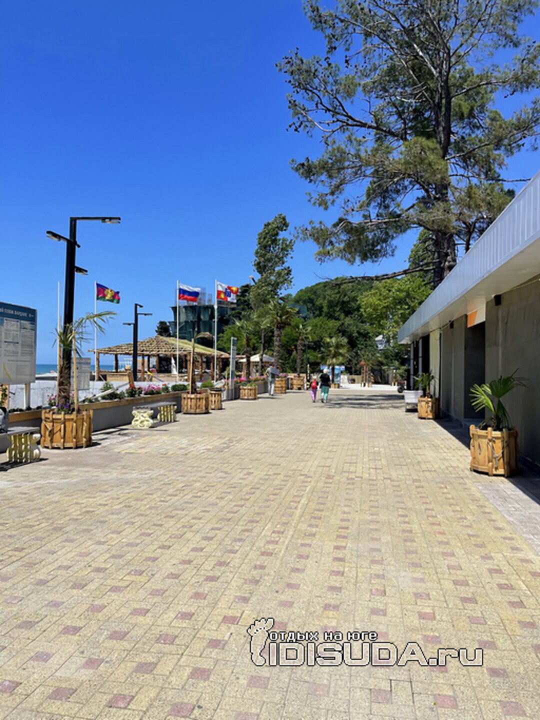 Фото Шоколад