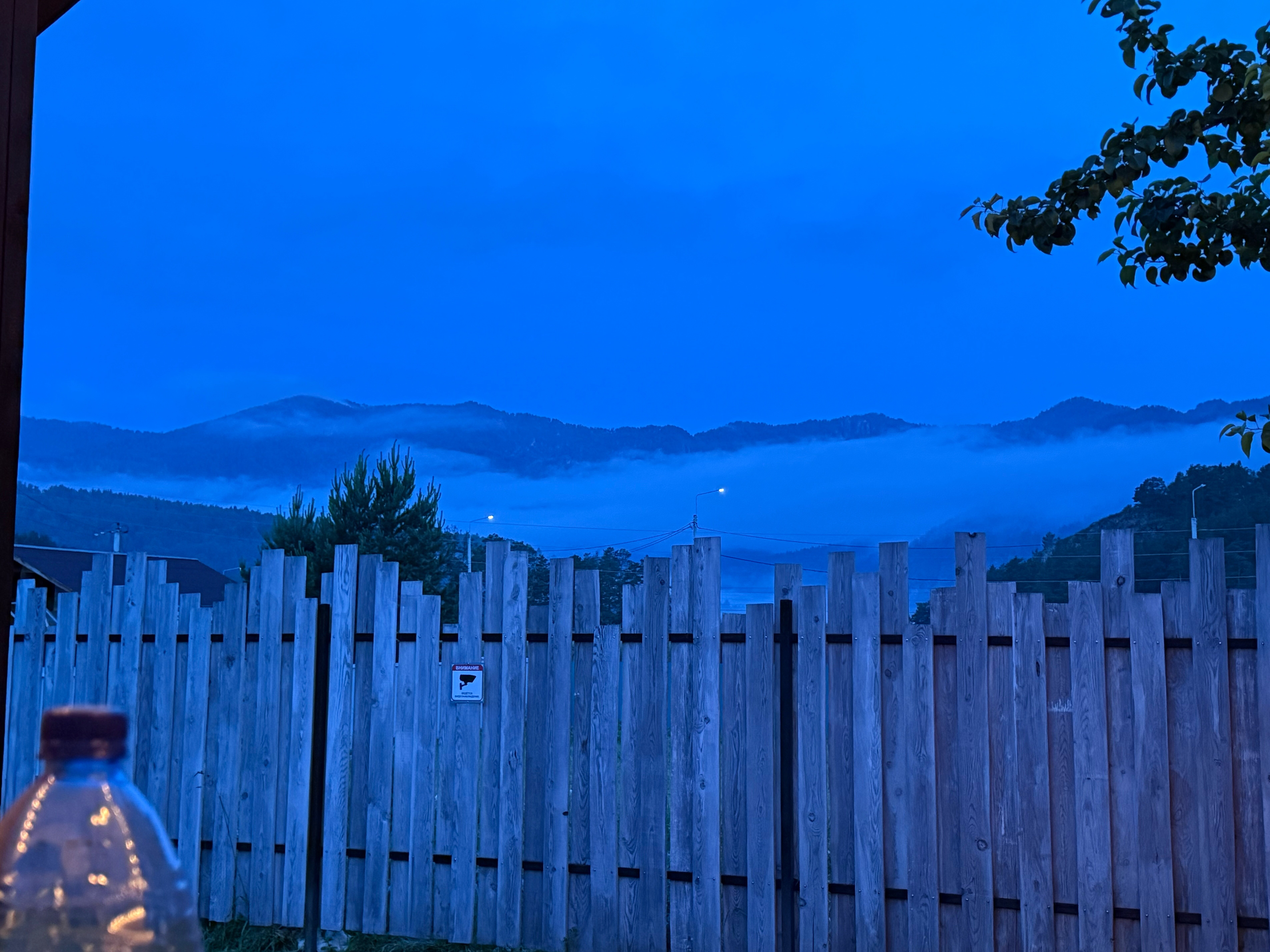 Фото White dragon