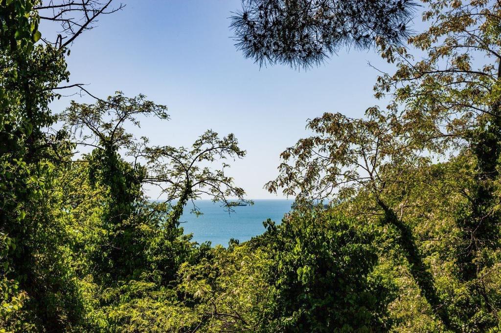 Фото Shepsi Family Club