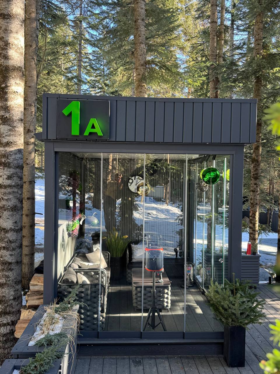 Фото Magic Forest