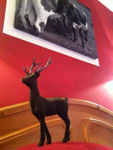 Фото Hotel Gamshof