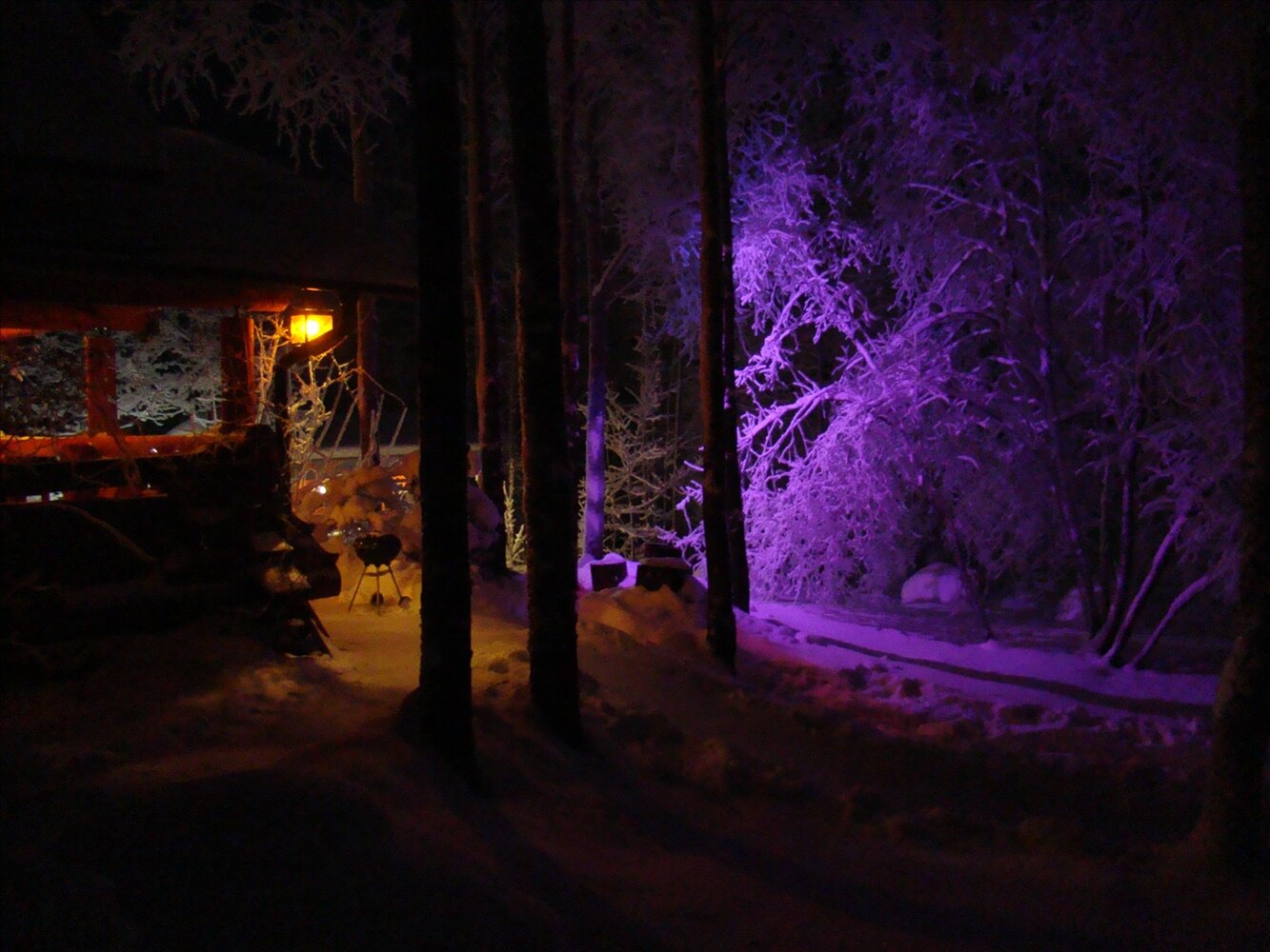 Фото Коттедж Рябиновка