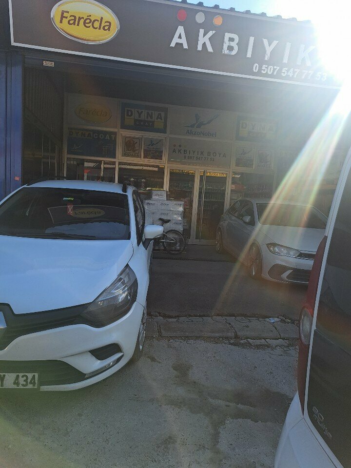 Paintwork materials Akbiyik Paint, Izmir, photo