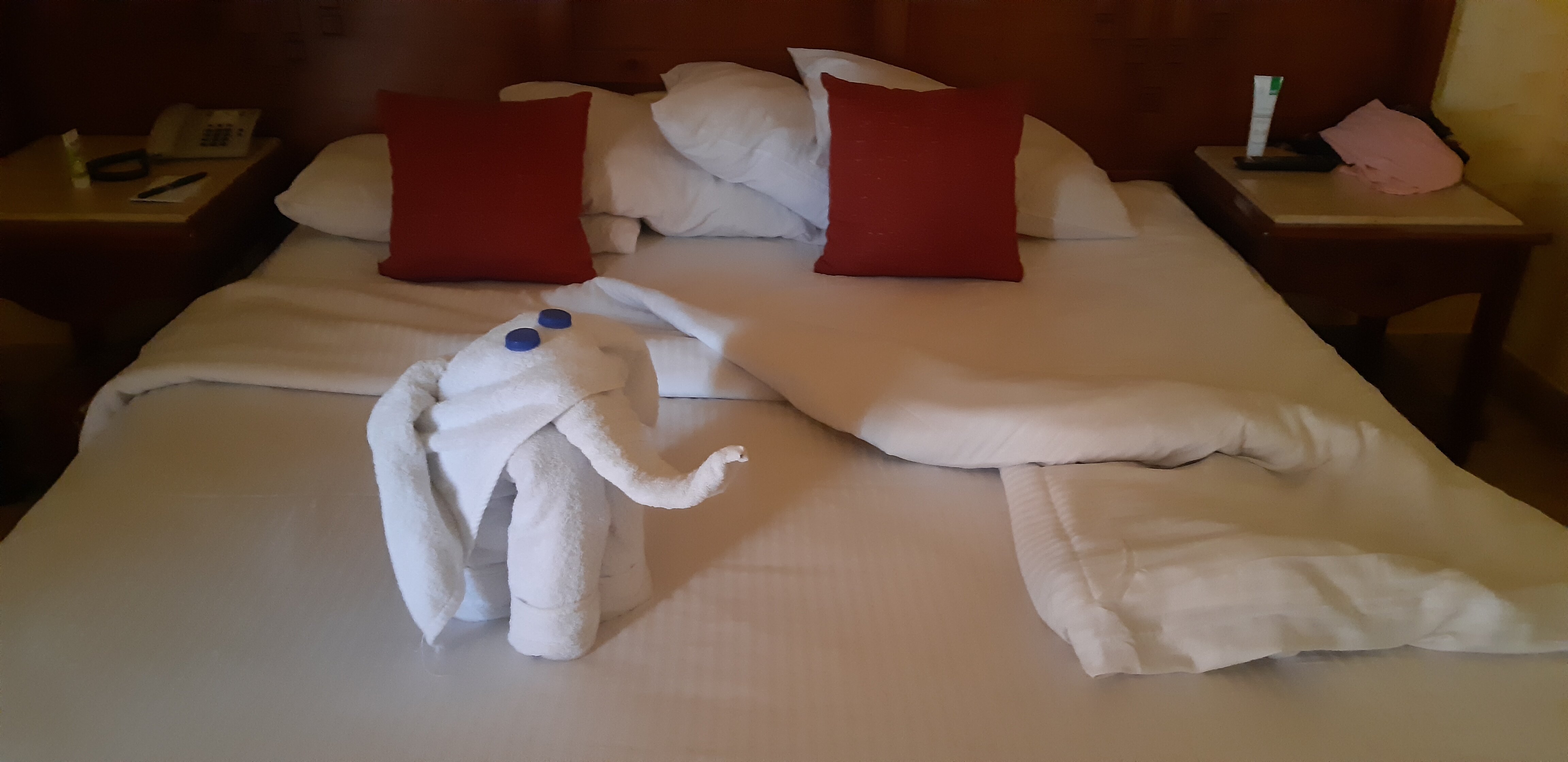 Фото Charmillion Sea Life Resort