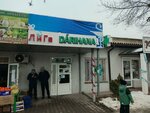 Liga Farm (Auezov City Administrative District, Mamyr shaǵyn aýdany, Kerýentaý kóshesі, 2/2), pharmacy
