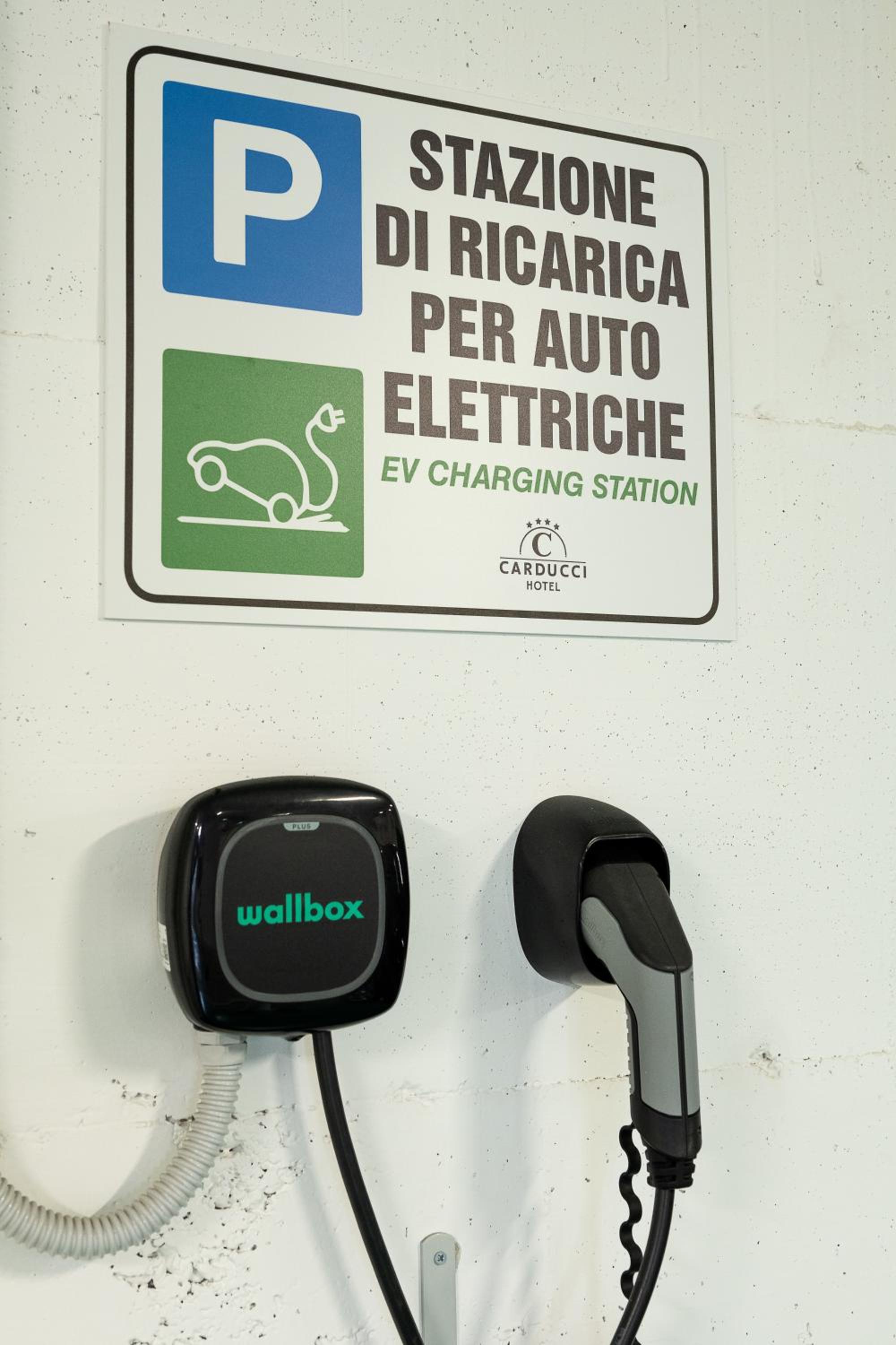 Фото Hotel Carducci
