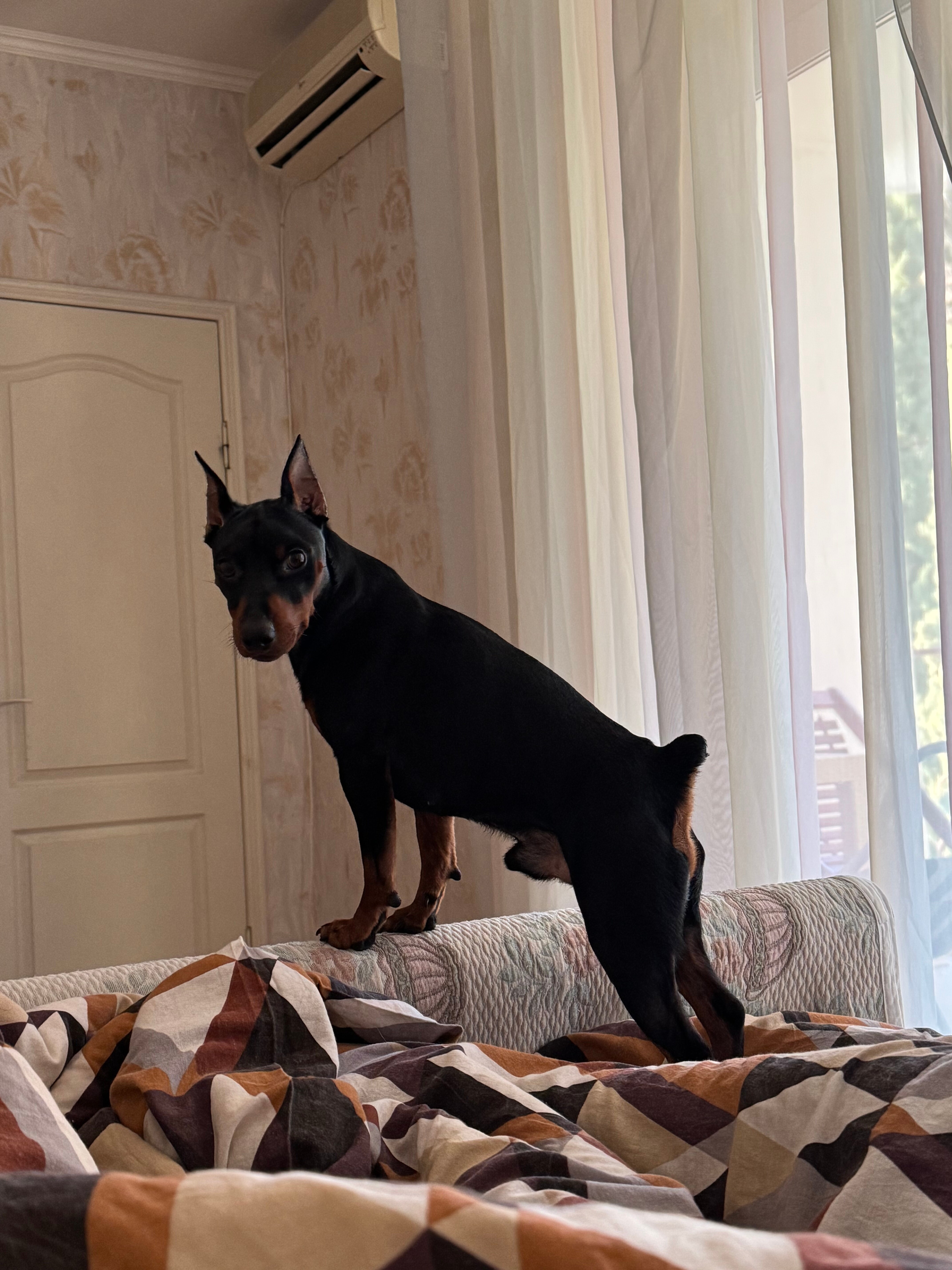 Фото Вилла Лилия