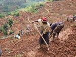 Feed the Soil (Independence, Dar Es Salaam Place, 3537), community organization