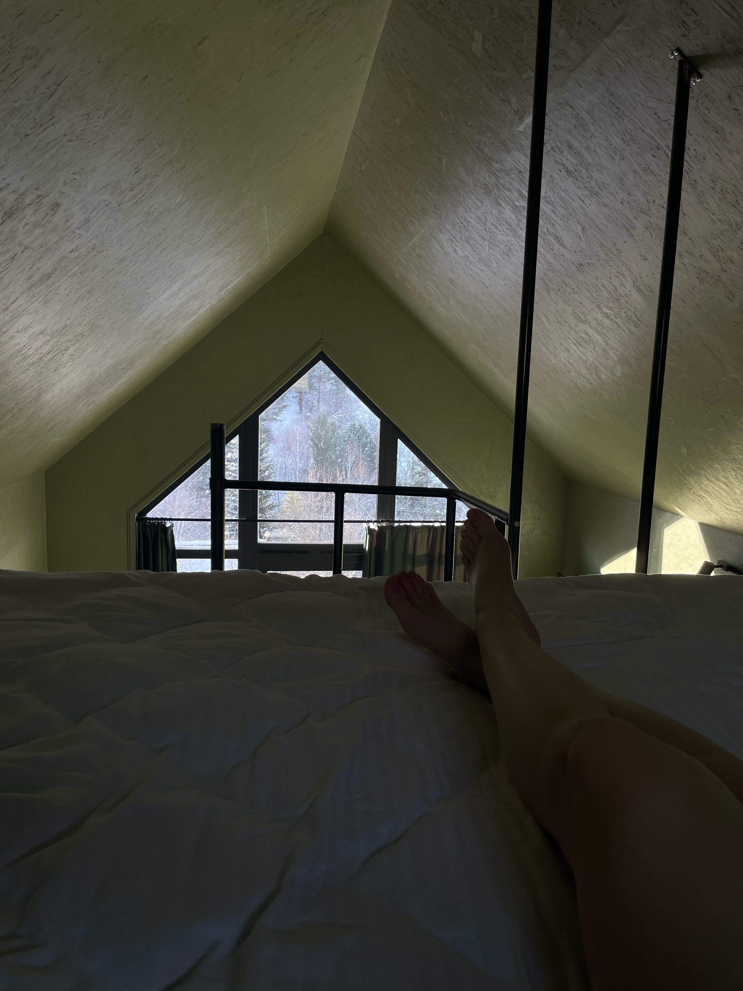 Фото 11 Гор Алтая