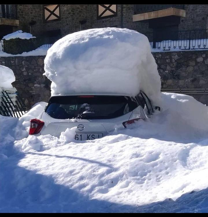 Фото La Pleta de Soldeu Apartments