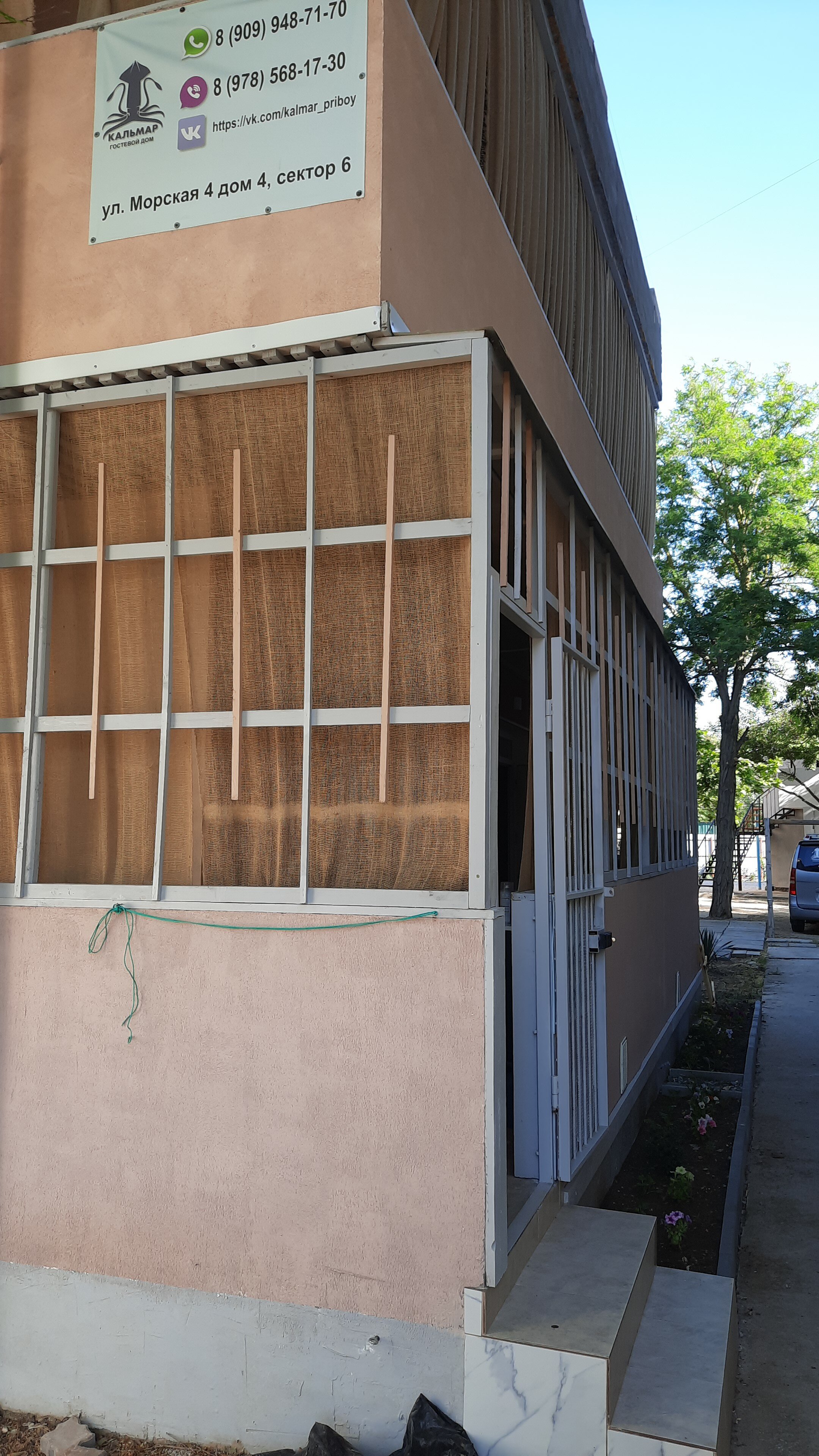 Фото Кальмар