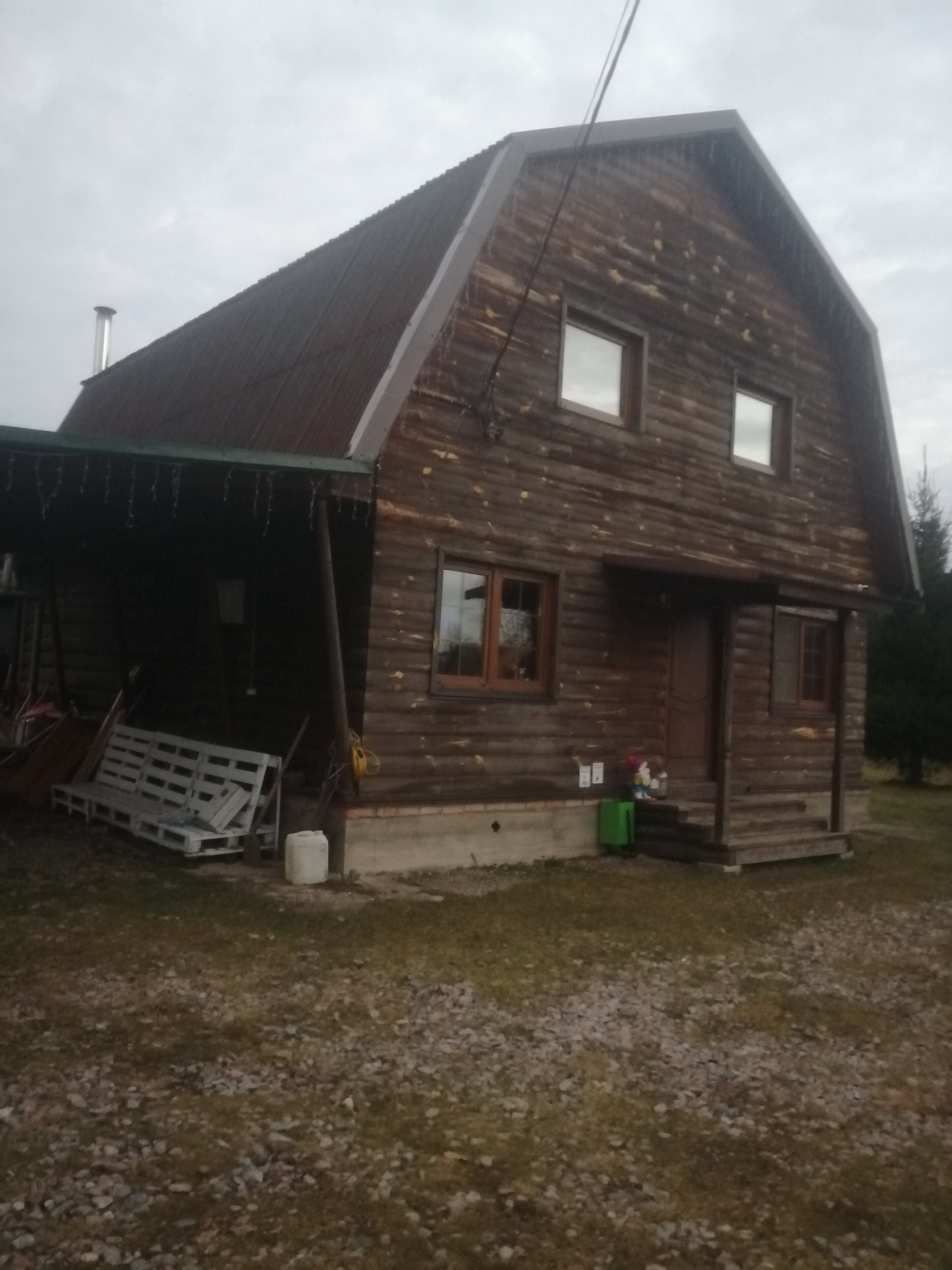 Фото Морошка