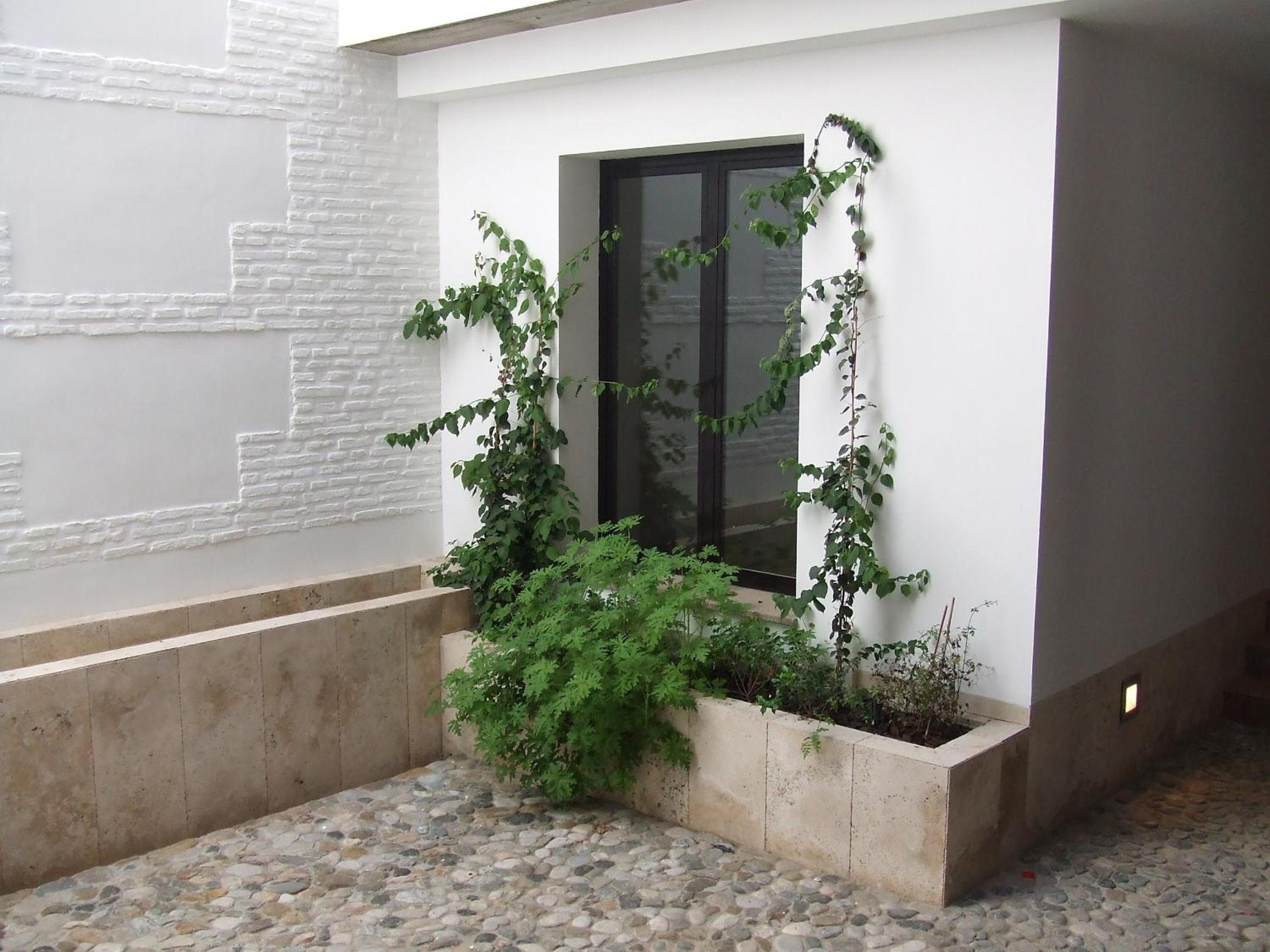 Фото Apartamentos Coronado