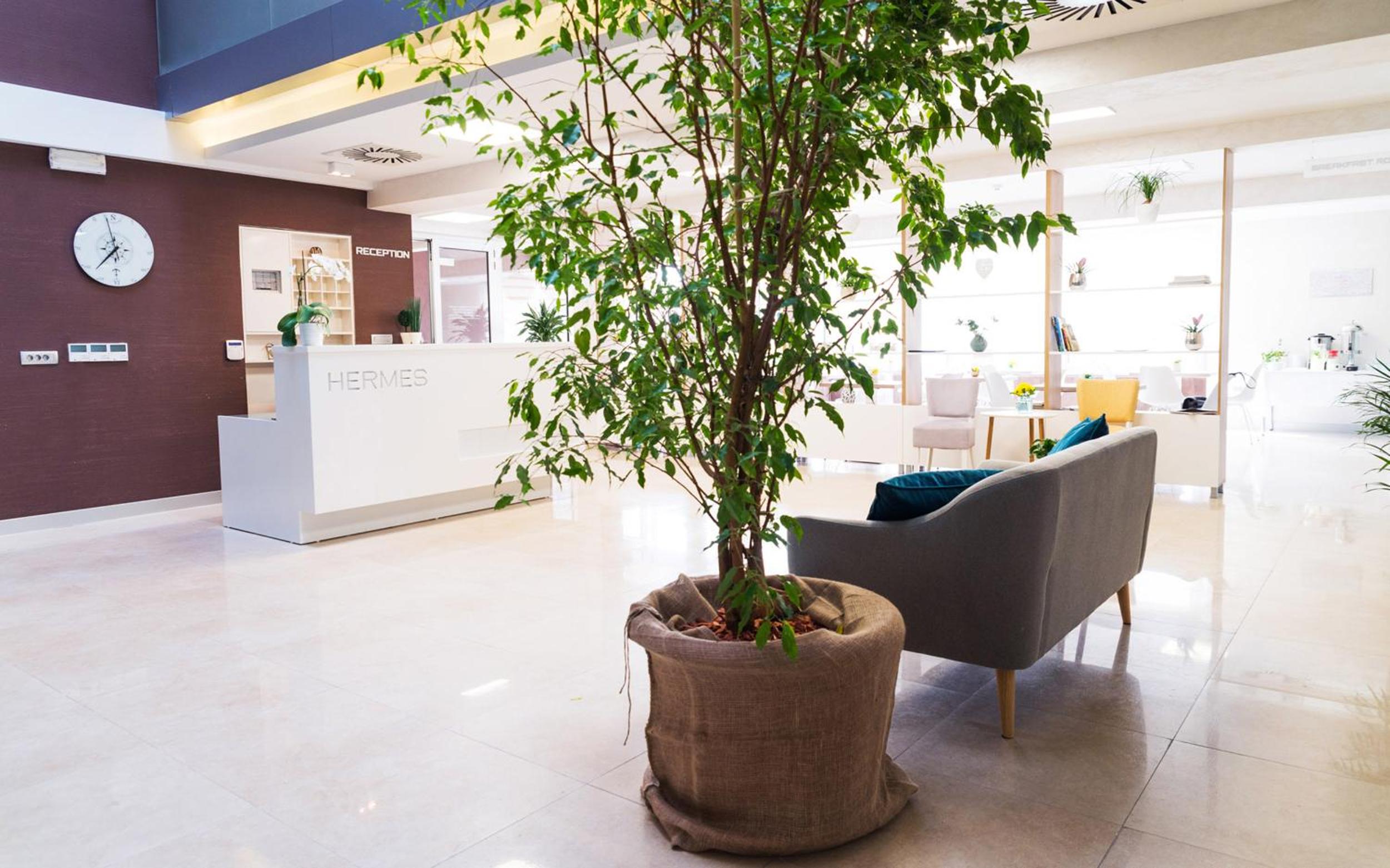 Фото Hotel Hermes