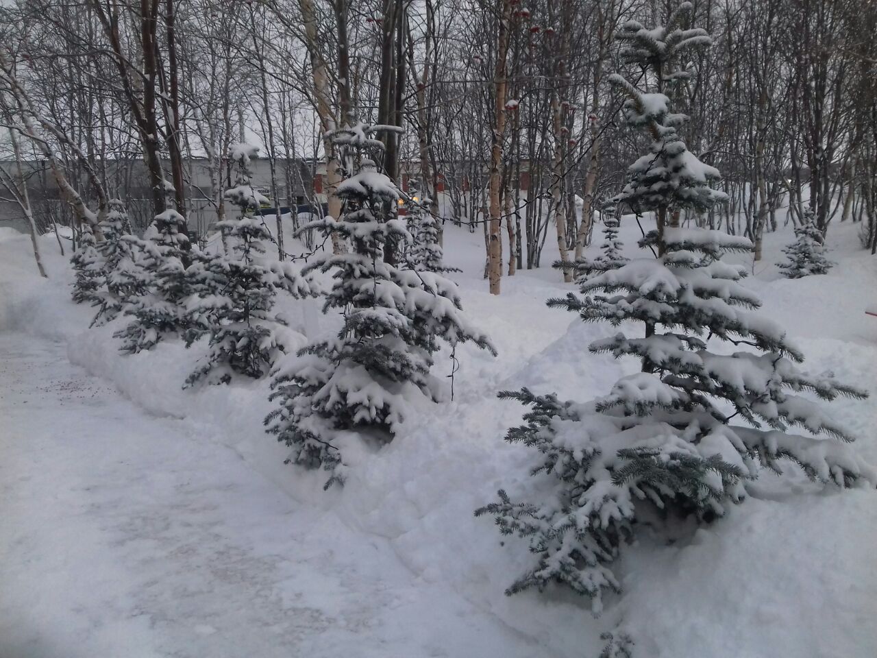 Фото Гостиница Североморск