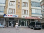 Daghan Trade (Konya, Karatay, Doğuş Mah., Çimenlik Cad., 16) ، متجر سجاد