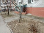 Performance Studio (Angarsky Village, Marshala Rybalko Street, 14Б), búsquedas