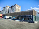 Фасад (Saratov, Bolshaya Sechenskaya ulitsa, 8), facades and facade systems
