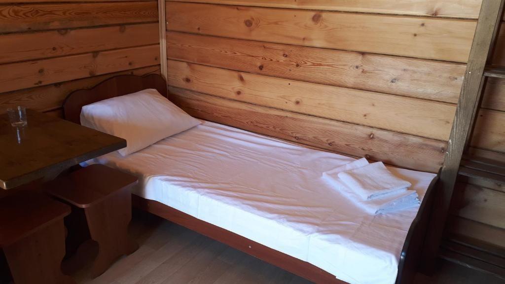 Фото Ромашка